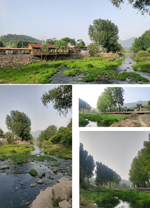 1642746115345338.png 25.png