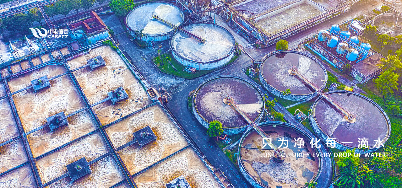 1728717370253166.jpg 2.jpg